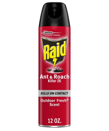 RAID ANT & ROACH KILLER OUTDOOR FRESH 12OZ