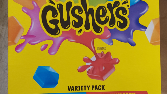 FRUIT GUSHERS 48 CT