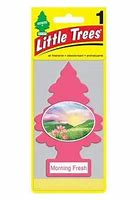 LITTLE TREE MORNING FRESH